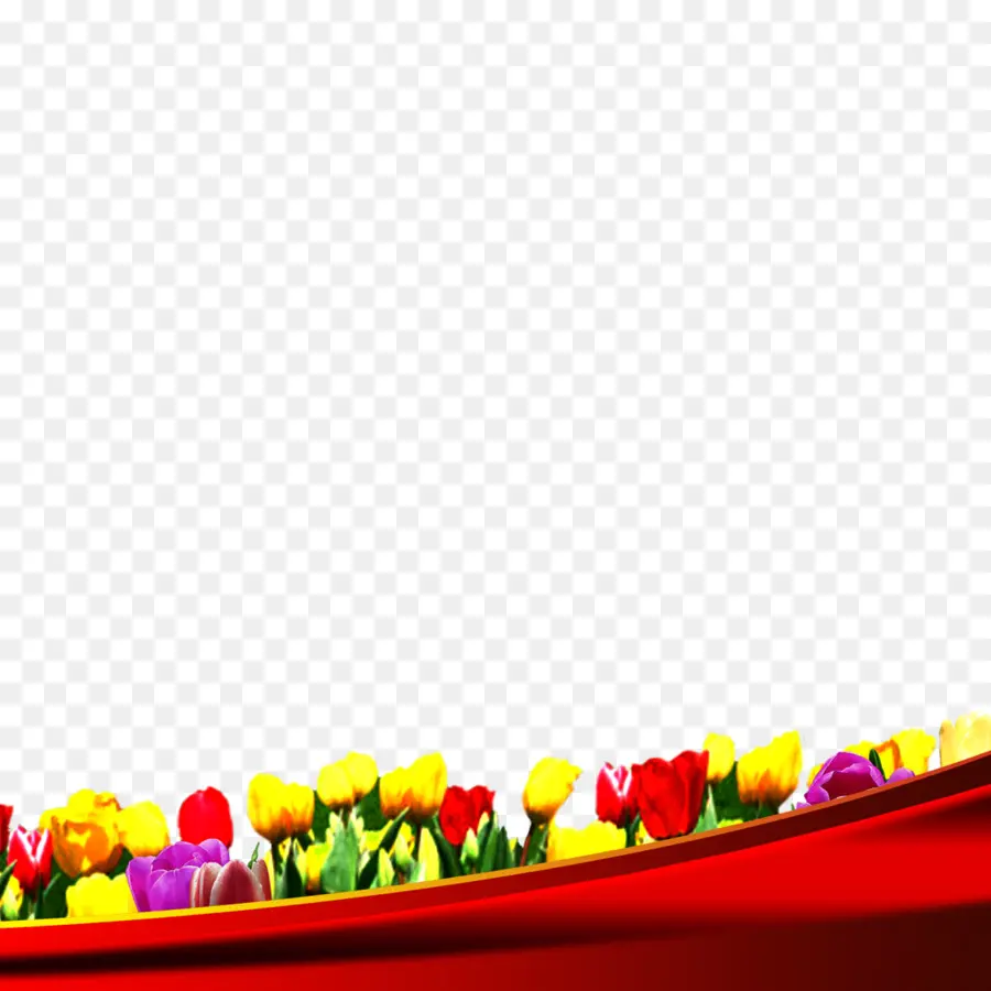 Tulip，Download PNG