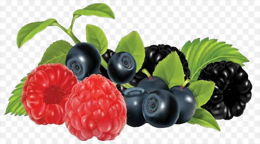 Frutti Di Bosco，Blackberry PNG