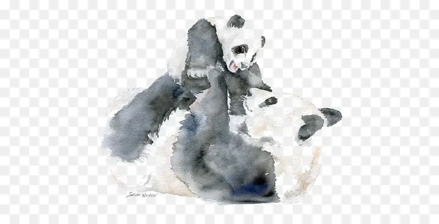 Panda Gigante，Urso PNG