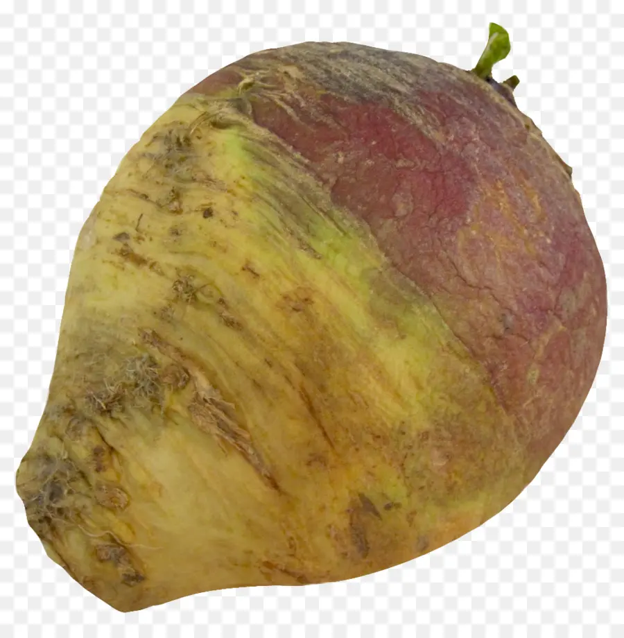 Repolho Vermelho，Rutabaga PNG