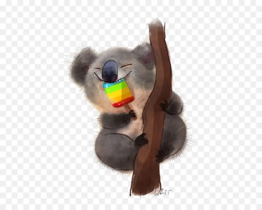 Koala，Desenho PNG