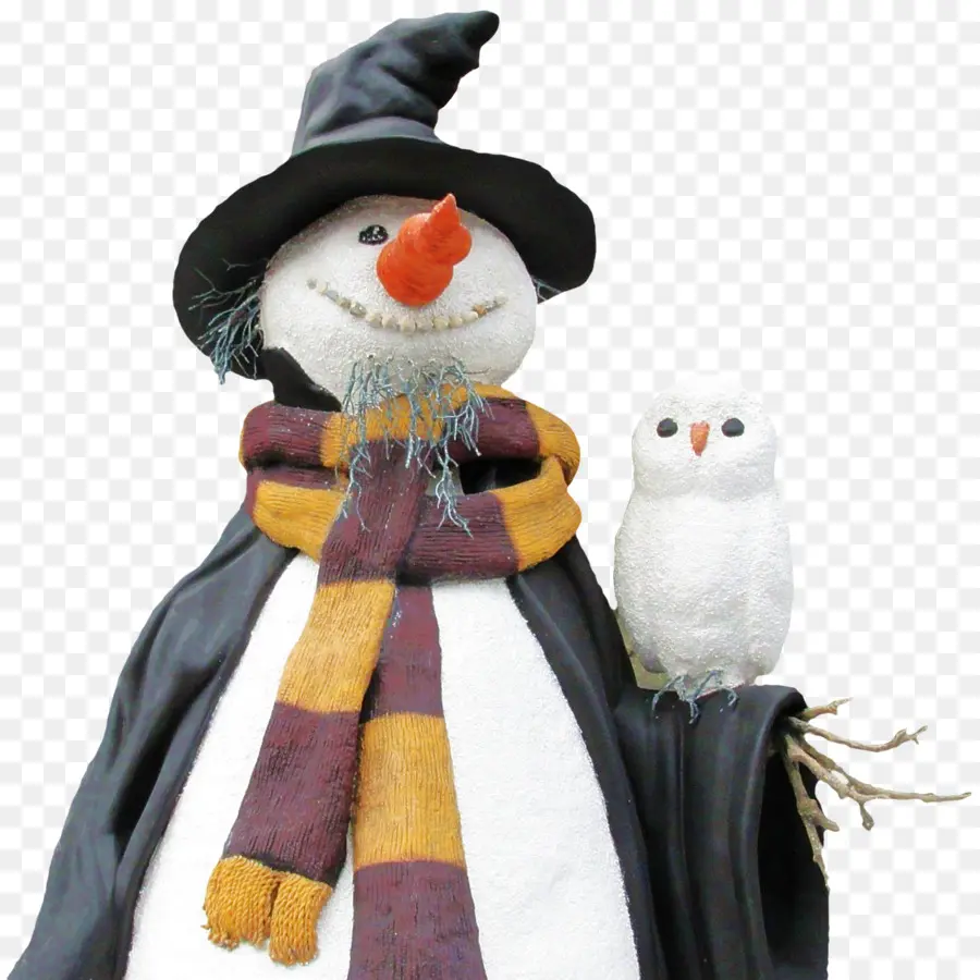 Boneco De Neve，Coruja PNG