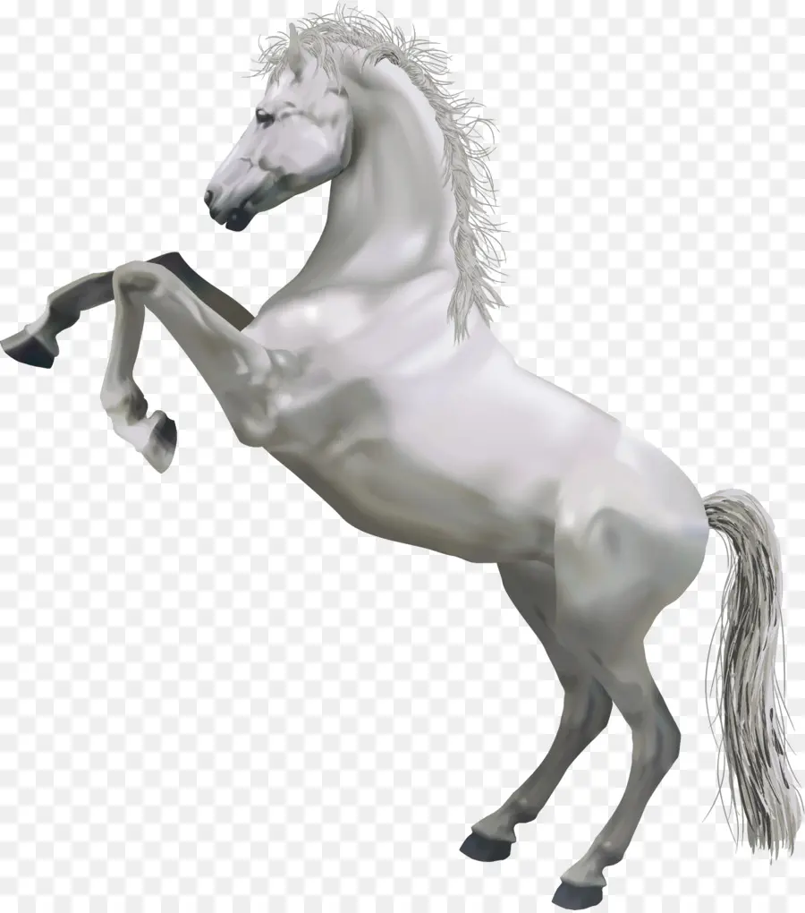 Cavalo，Criação PNG