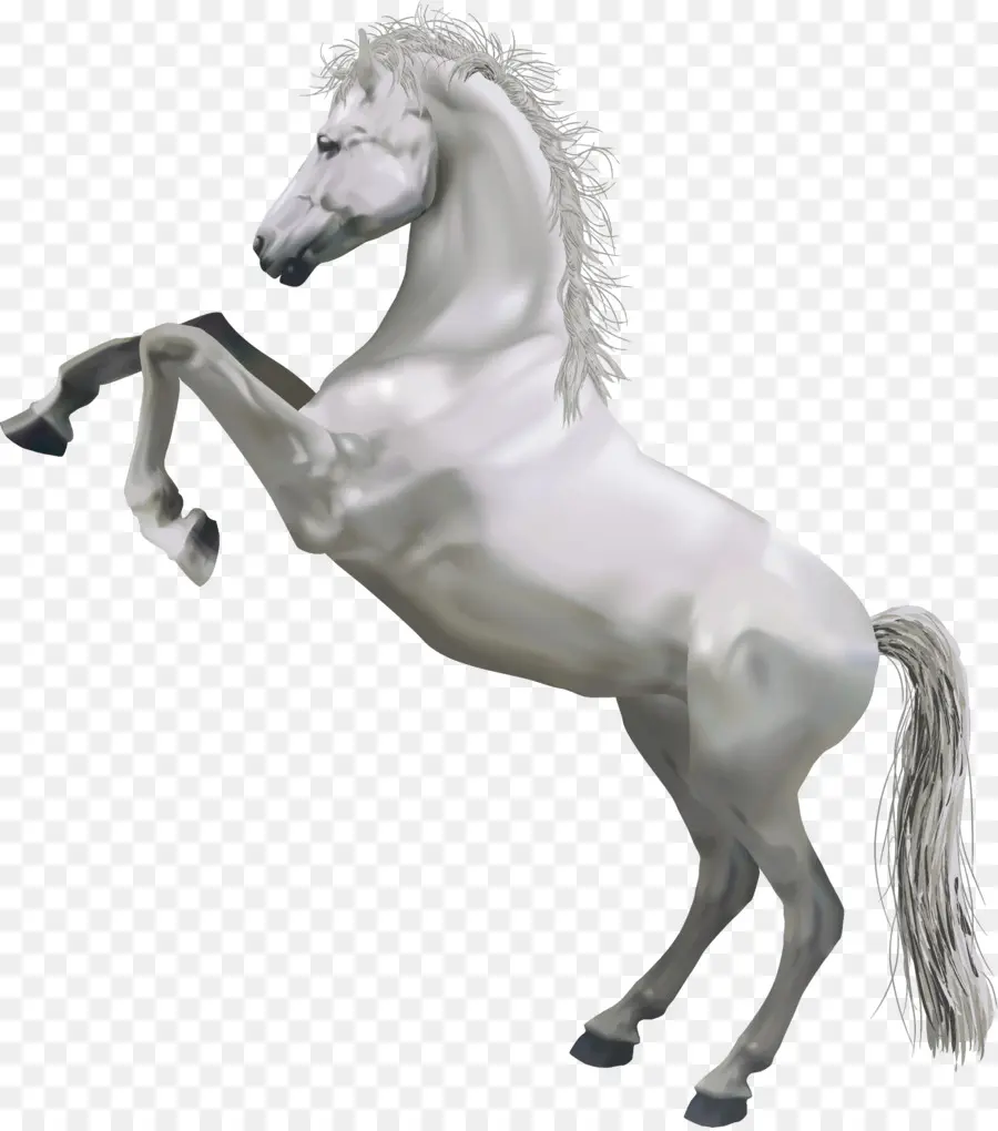 Cavalo Branco，Garanhão PNG