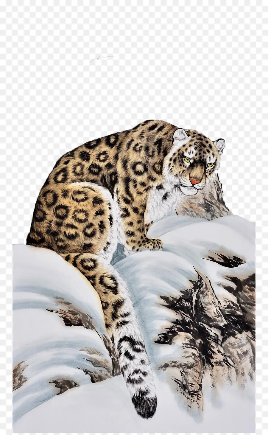 Tigre，Leopard PNG