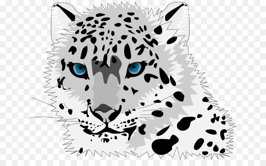 O Snow Leopard，Felidae PNG