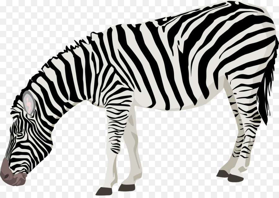 Zebra，Scalable Vector Graphics PNG