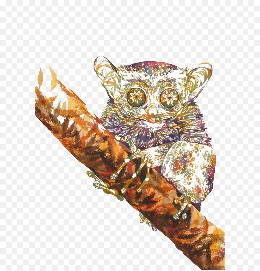 Animal，Bonitinho PNG