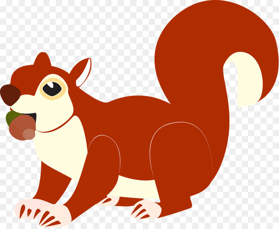 Esquilo Vermelho，Esquilos De árvore PNG