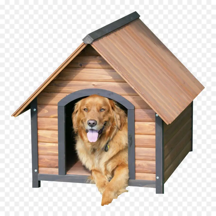 Casa De Cachorro，Cachorro PNG