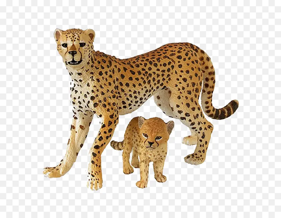 Cheetah，Lince Eurasiático PNG