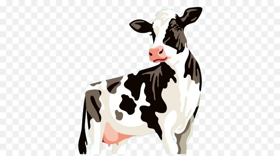 Holstein Frísia Gado，Zau De Câmpie PNG
