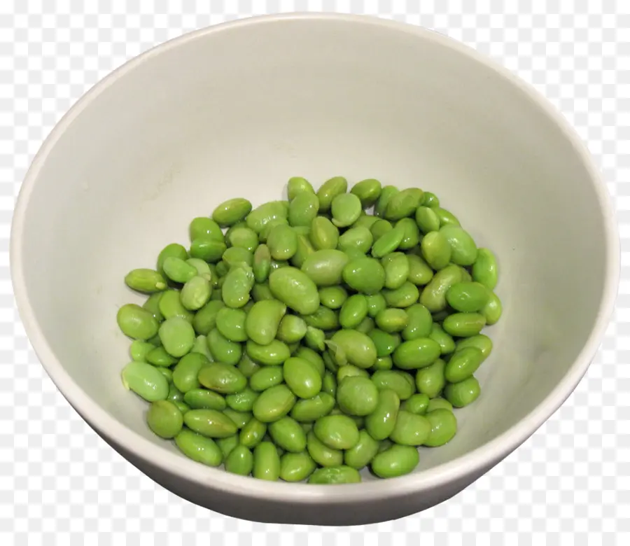 Feijão Edamame，Verde PNG