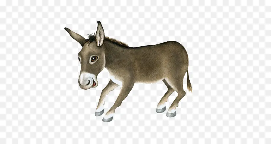 Dominick O Burro，Burro PNG