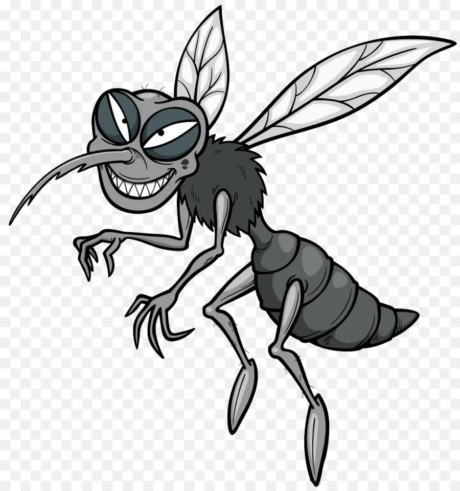 Mosquito，Cartoon PNG