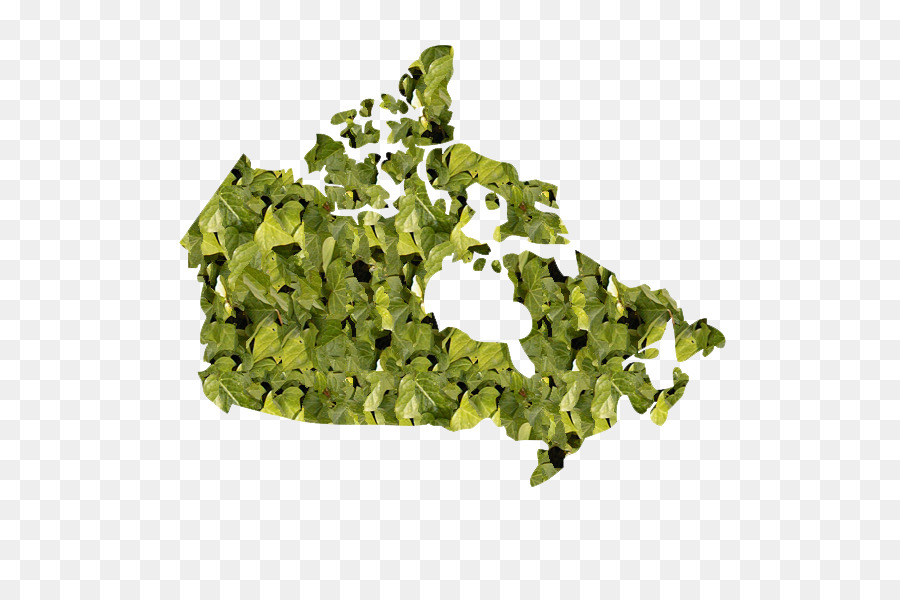 Canadá，Estados Unidos PNG