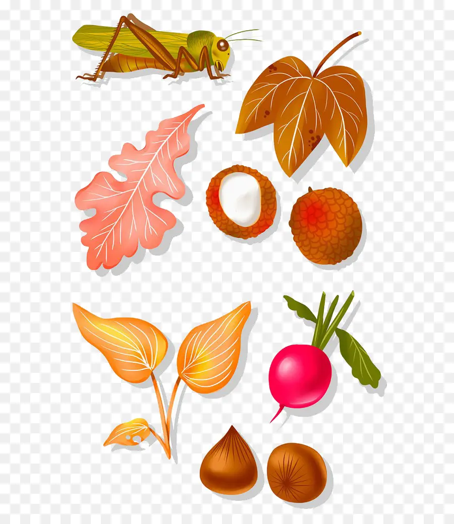 Lichia，Frutas PNG