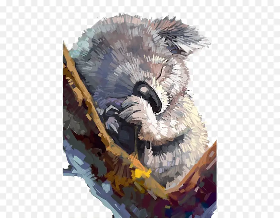 Koala，Pintura PNG