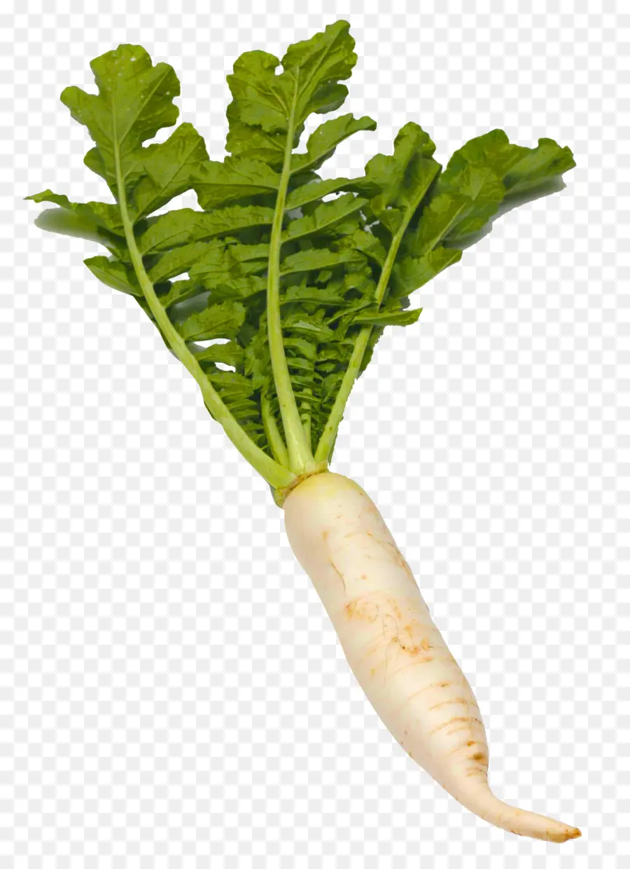 Daikon，Frango Kung Pao PNG