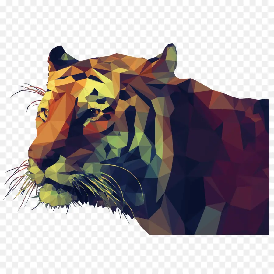 Tigre，Low Poly PNG