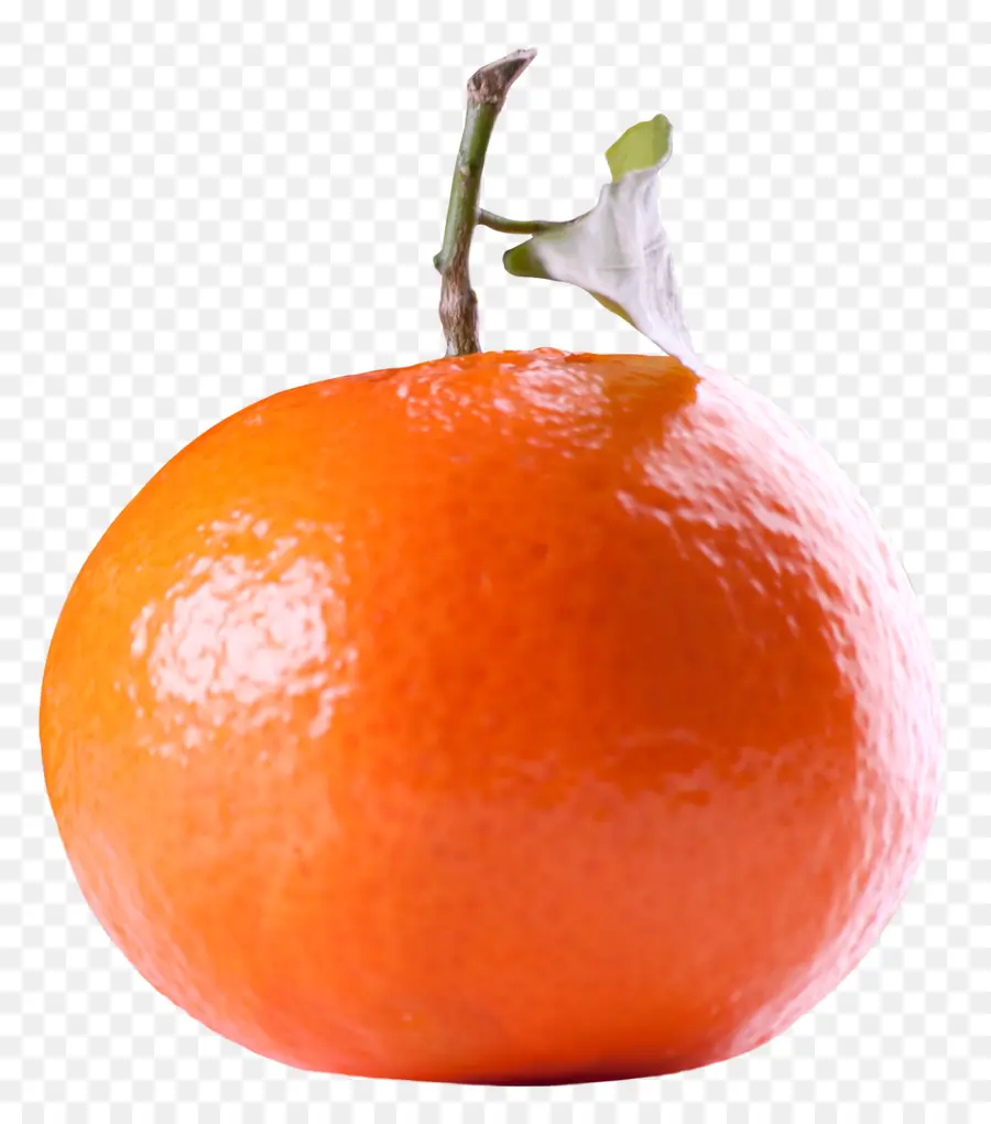 Laranja，Cítrico PNG