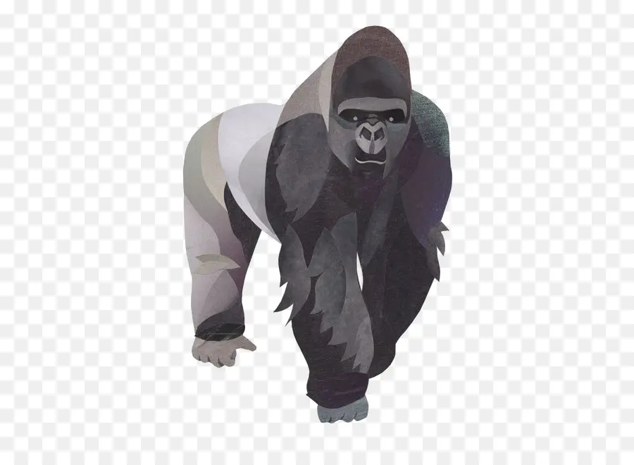 Gorila，Orangotango PNG