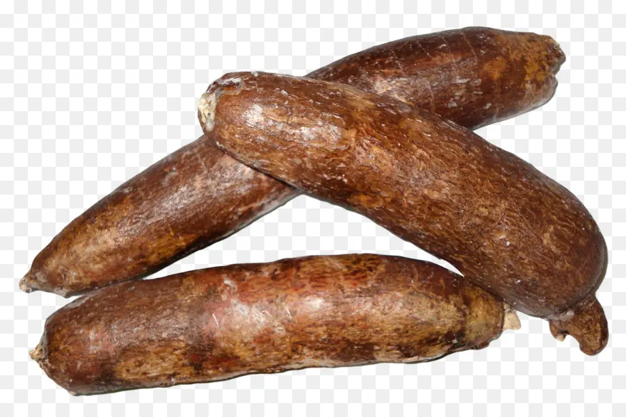 Tapioca，Mandioca PNG