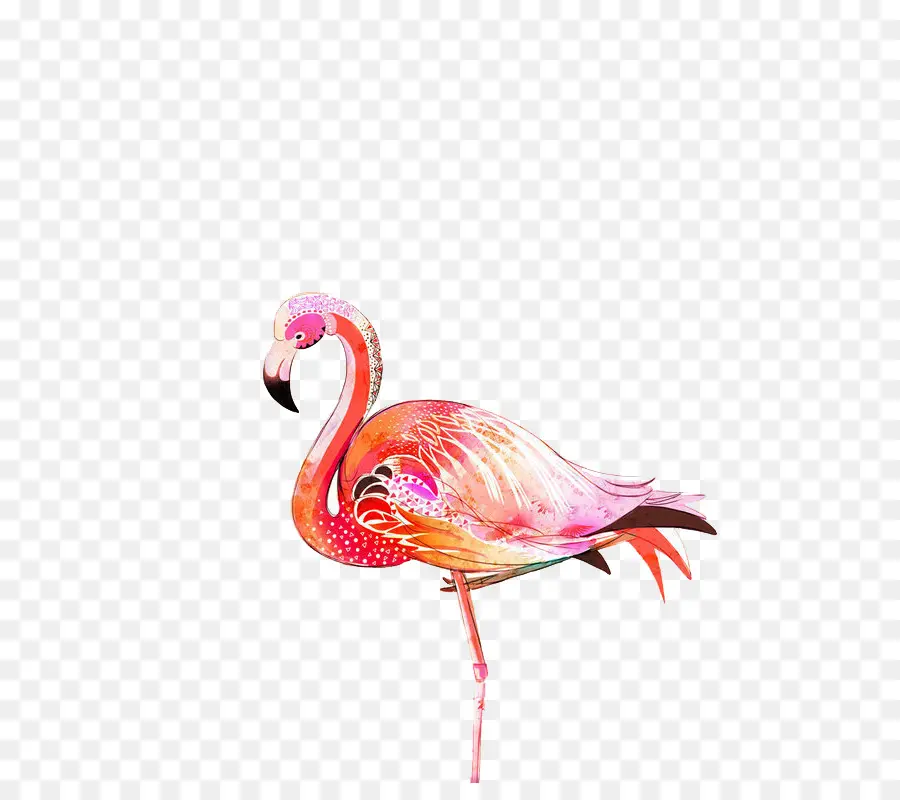 Flamingo，Aves PNG