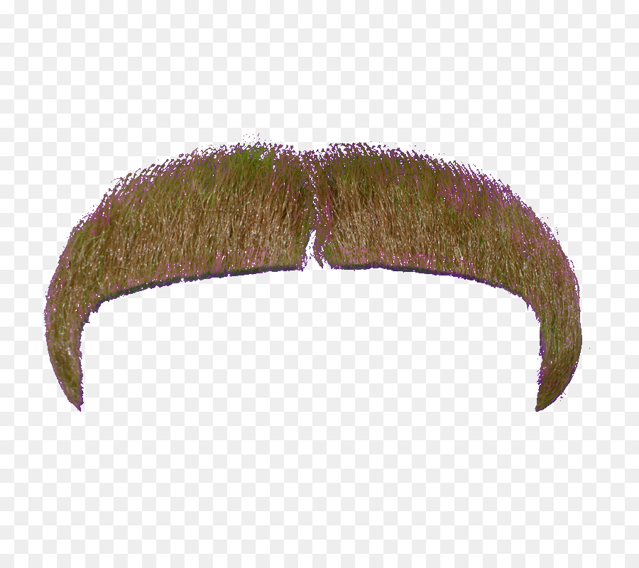 Bigode，Cabelo PNG