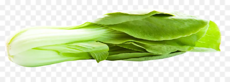 Bok Choy，De Alface PNG