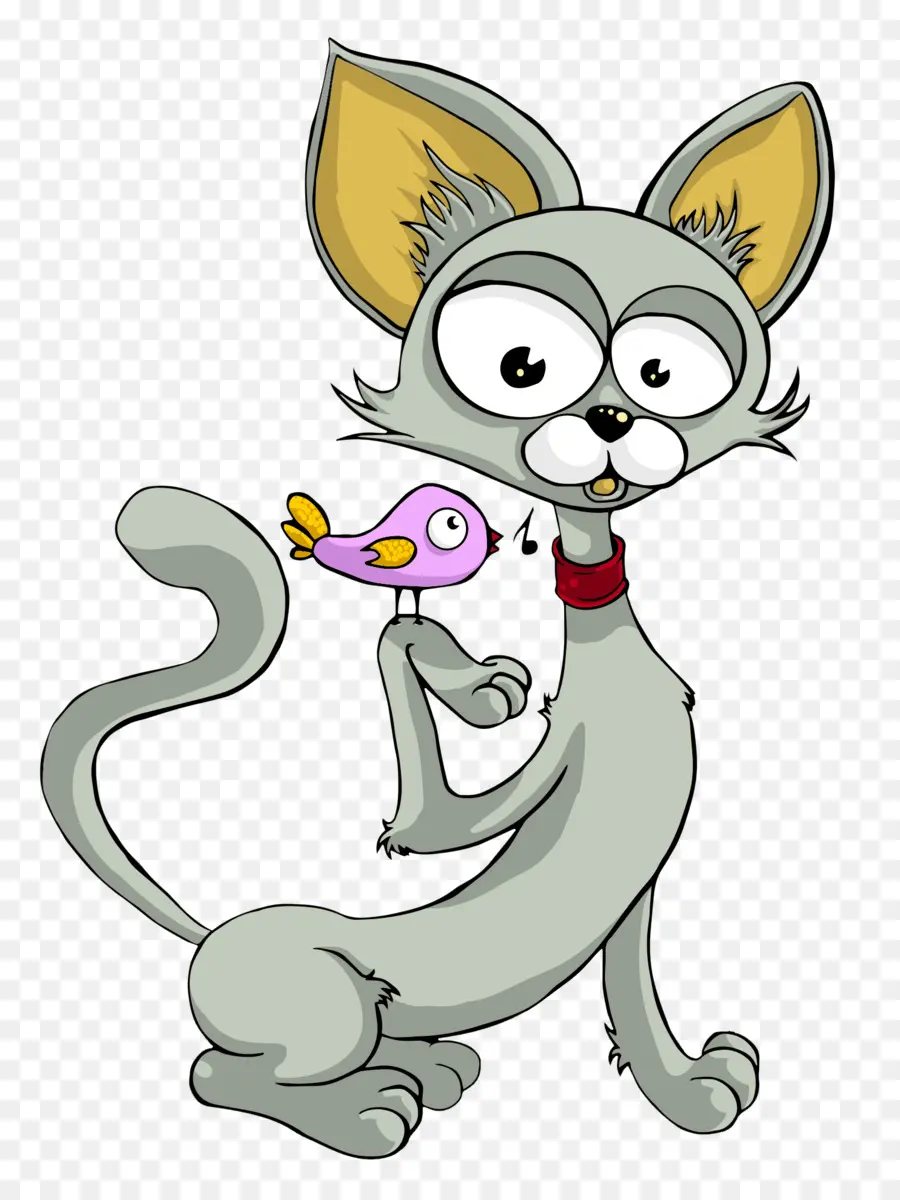 Gato E Pássaro，Gato PNG