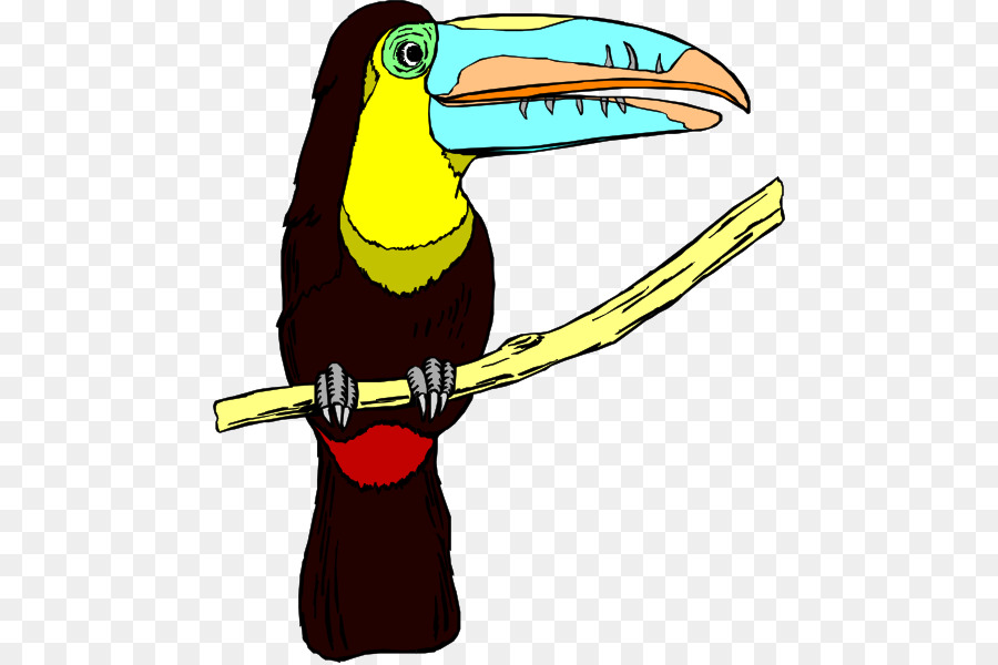 Tucano，Aves PNG