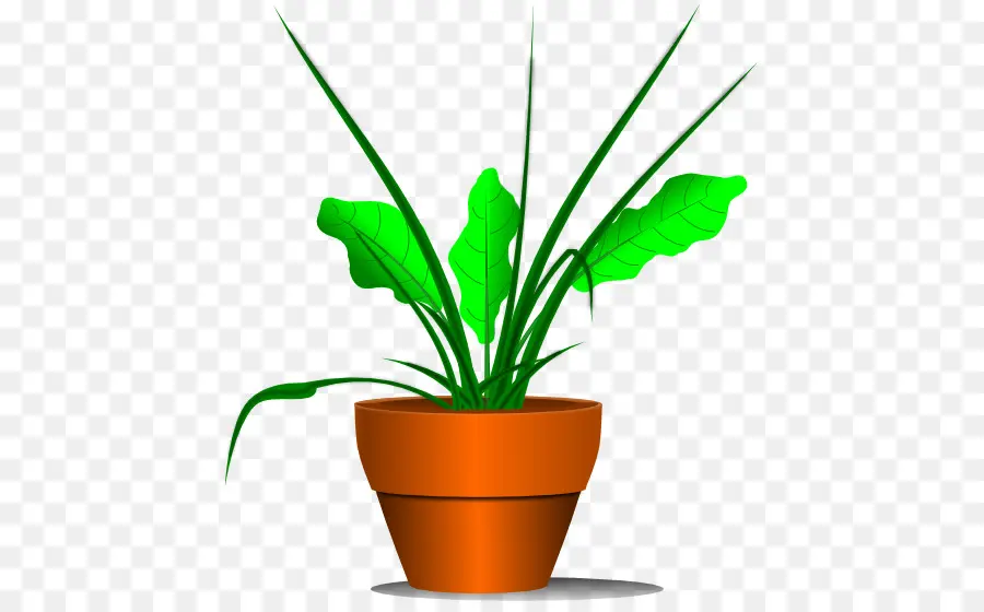 Planta，Planta De Casa PNG