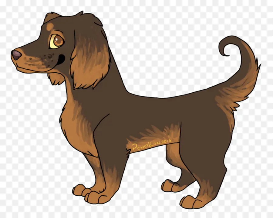 Boykin Spaniel，Filhote De Cachorro PNG