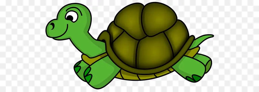 Turtle，Velha Tartaruga PNG