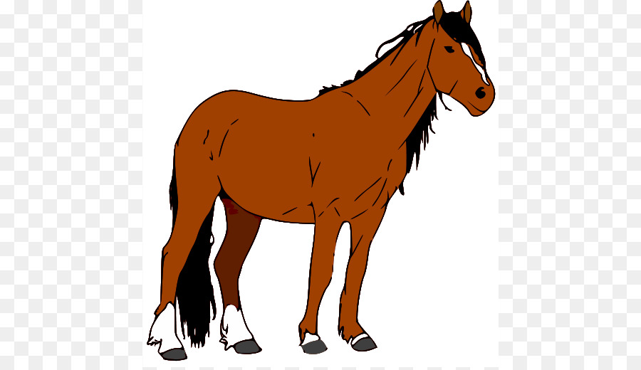 Mustang，American Quarter Horse PNG