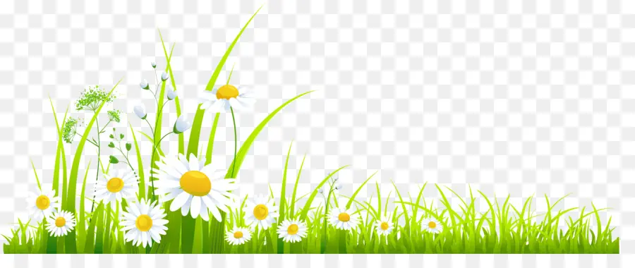 Primavera，Scalable Vector Graphics PNG