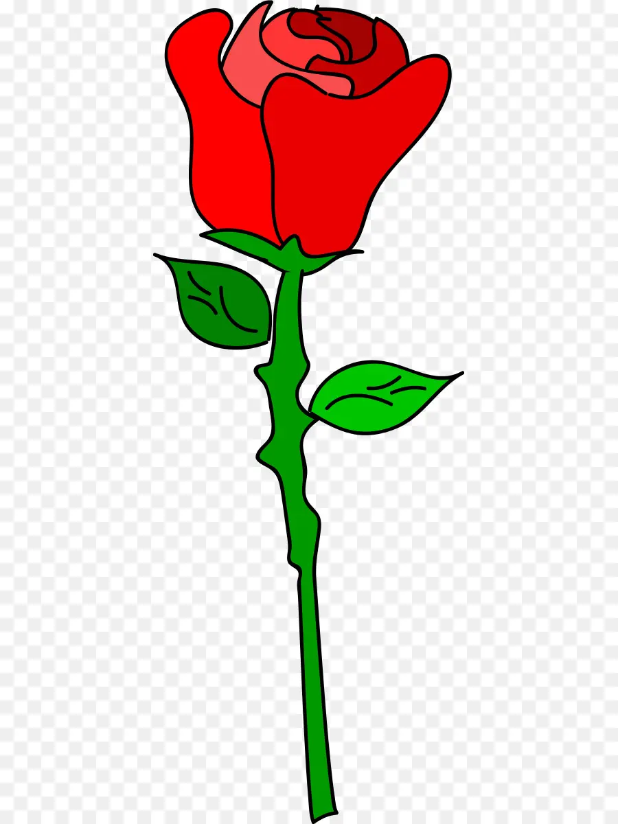 Rosa，Flor PNG