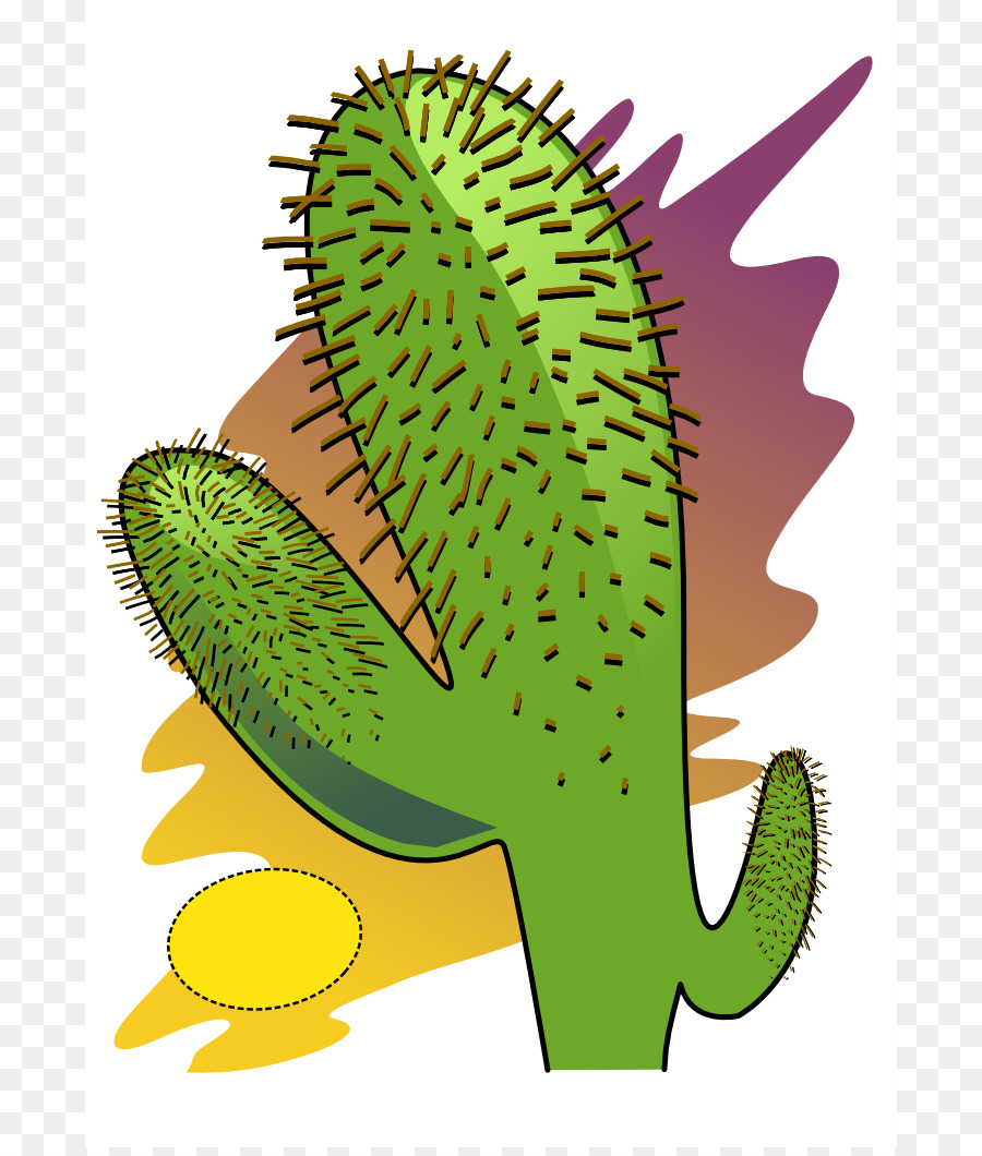 Deserto，Cactaceae PNG