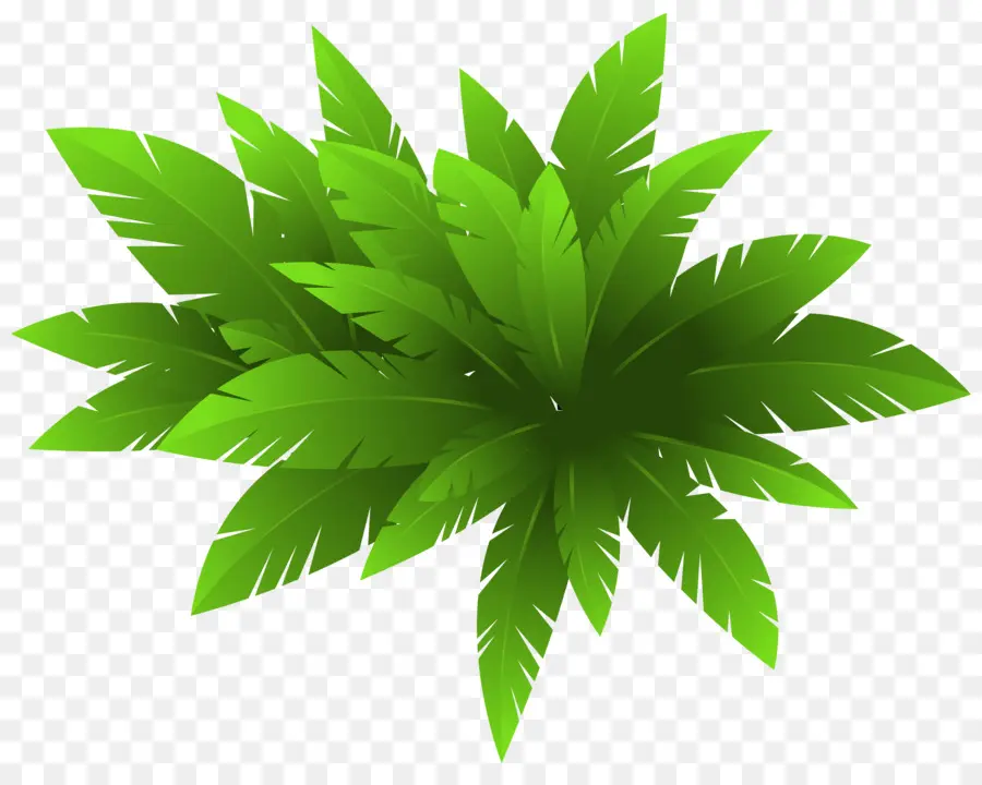 Planta，Coreldraw PNG