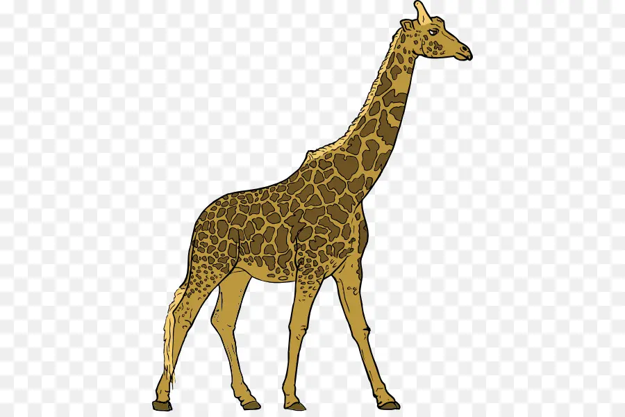 Girafa，Alto PNG