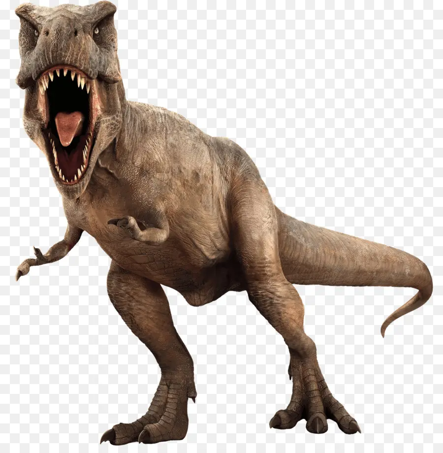 Jurassic Evolução Mundial，Velociraptor PNG