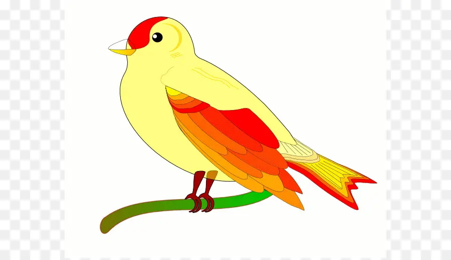 Aves，Animação PNG