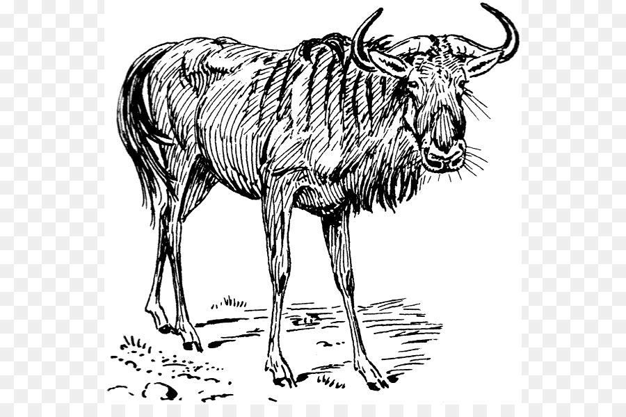 Azul Gnus，Gnu PNG