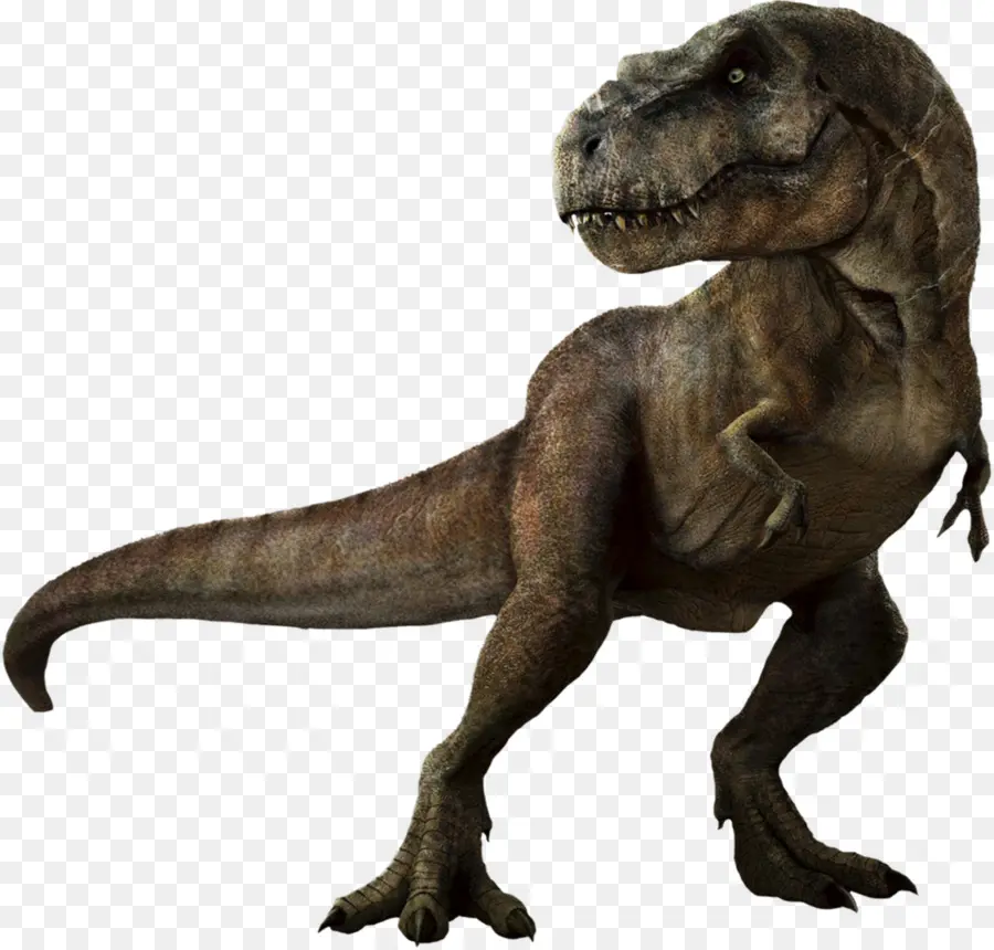 Tiranossauro Rex，Dinossauro PNG