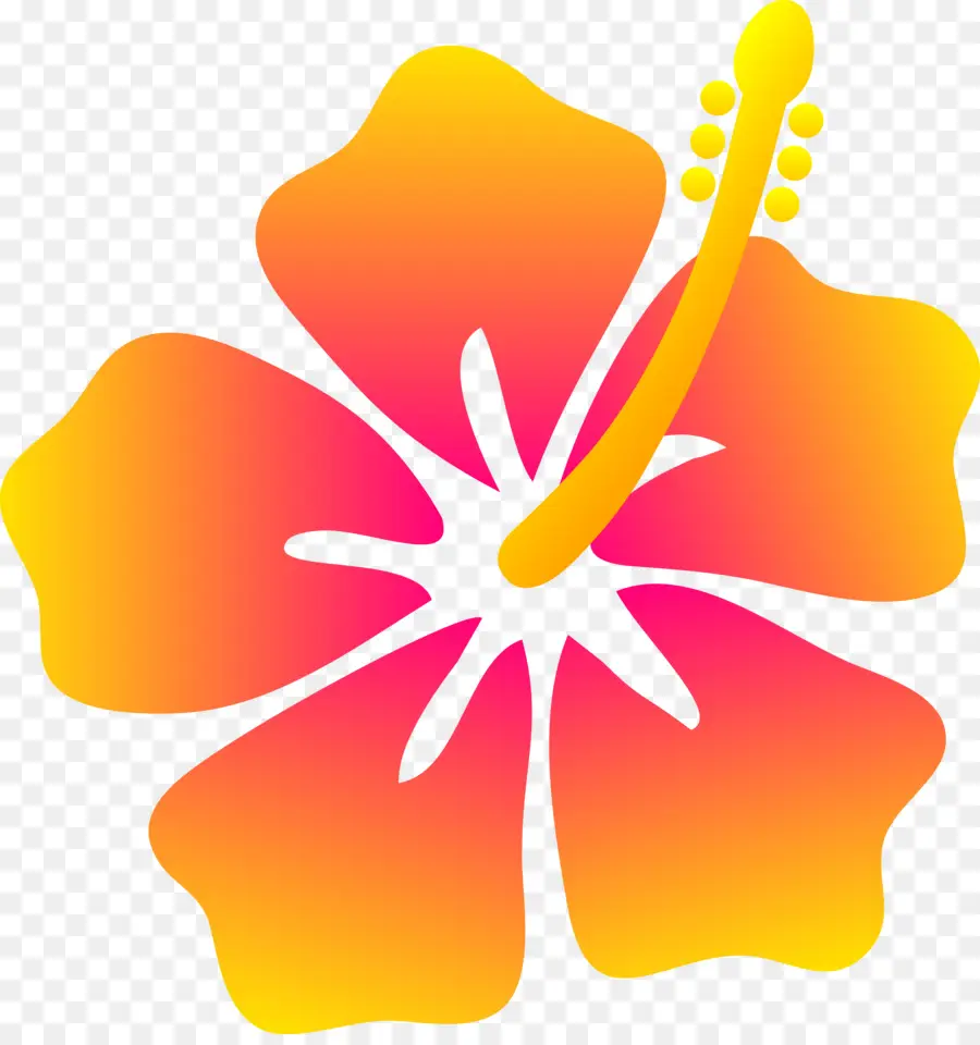 Havaí，Flor PNG