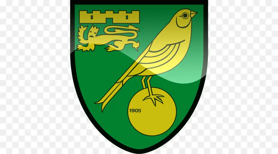 Logotipo Do Norwich City Fc，Futebol PNG