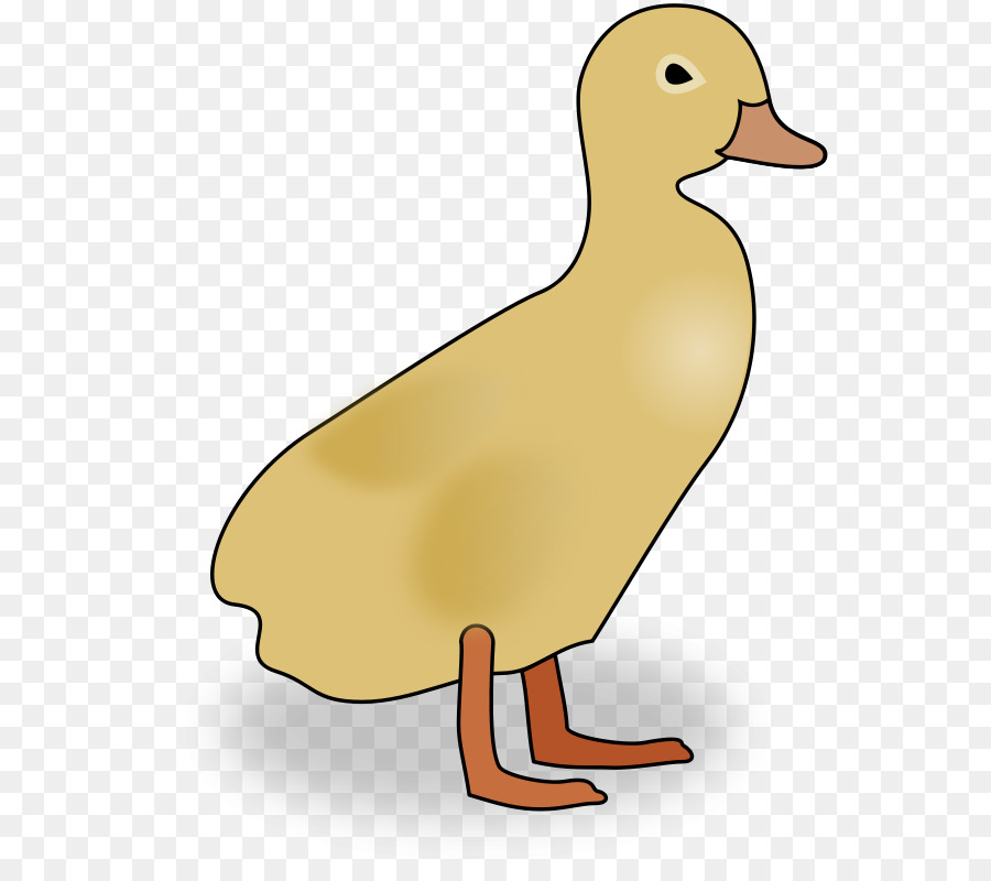 Pato，Blog PNG