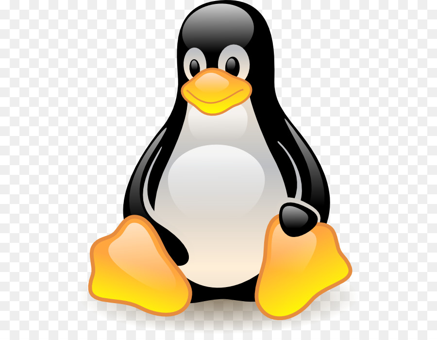 Pinguim，Pássaro PNG