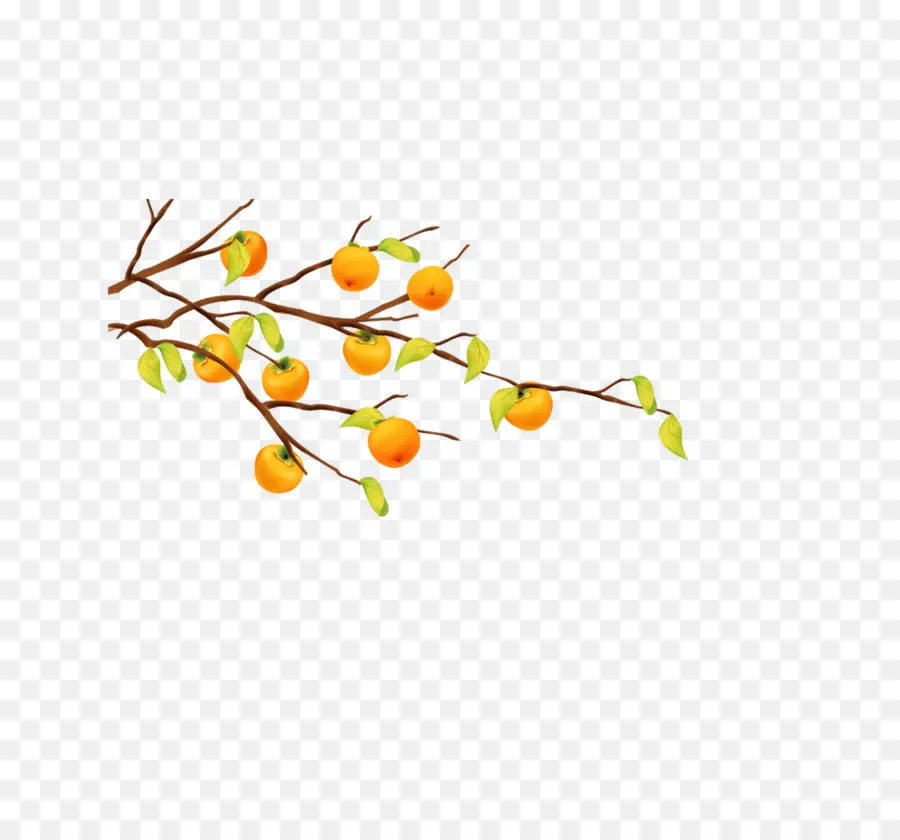 Ramo De Fruta，Laranjas PNG